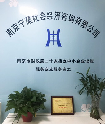 專業(yè)服務(wù)的助力者 南京寧豪社會經(jīng)濟(jì)咨詢的商業(yè)發(fā)展價值